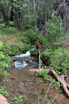 Sycamore Creek, Sycamore Canyon, April 16, 2015